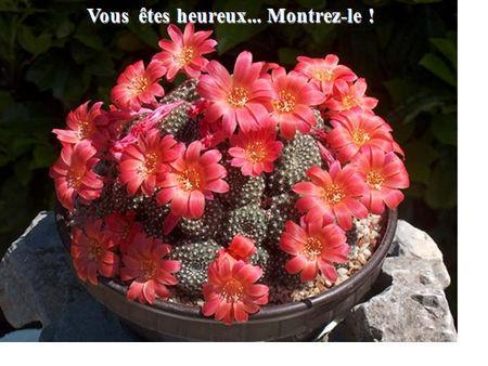 Un partage merveilleux à faire circuler astuces2011__34