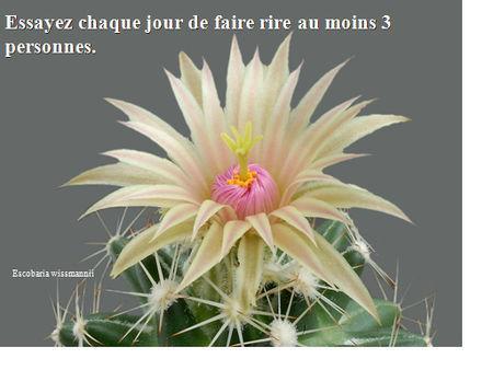 Un partage merveilleux à faire circuler astuces2011__12