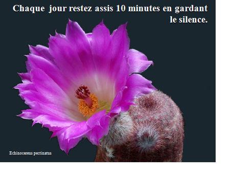 Un partage merveilleux à faire circuler astuces2011__2