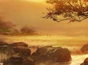 ArenaNet rétrospective