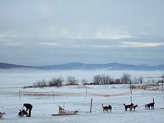 L'Auberge du Lac Taureau...les photos