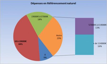 Les dépenses SEO (étude Econsultancy)