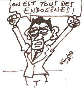  Sarko fait des voeux électoraux aux Antilles