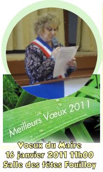 voeux-maire-2011