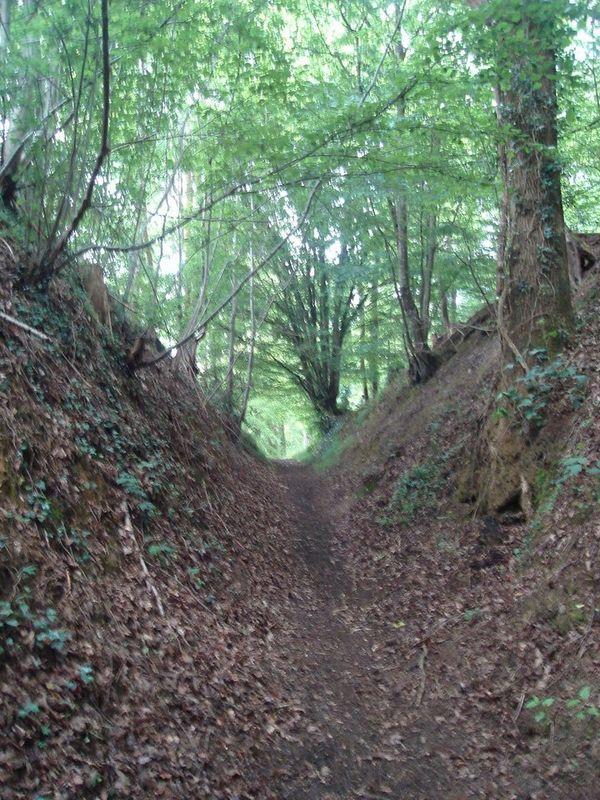 Recommencer sans cesse le voyage (Jean Mambrino)