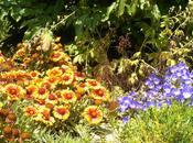 dites avec fleurs...