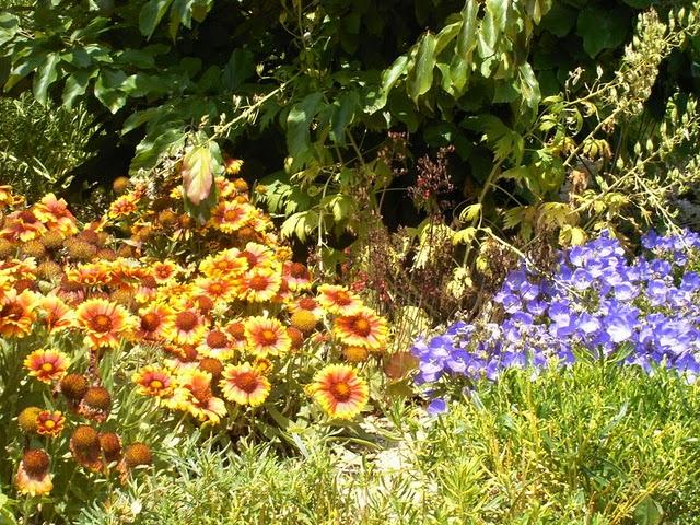 dites le avec des fleurs...