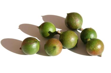 Macadamia nuts マカダミア