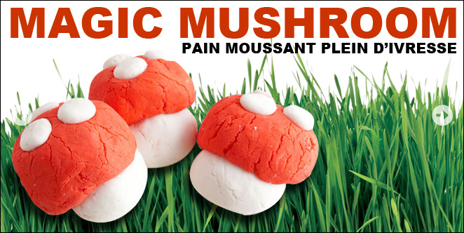 News | Un champignon pour la St Valentin