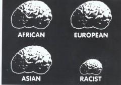 Stop racisme.jpg