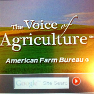 Un nom de domaine à 8,5 millions de $