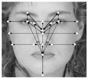 Reconnaissance faciale (biométrique)