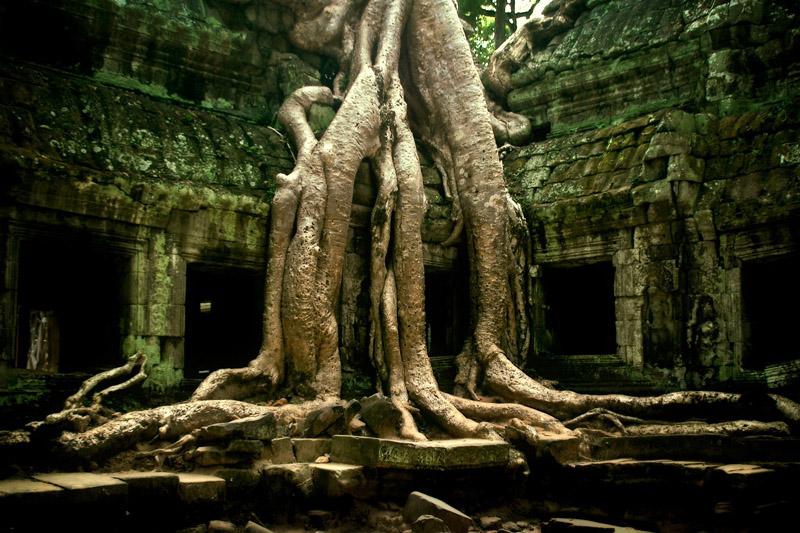 TEMPLE (Jean Mambrino)