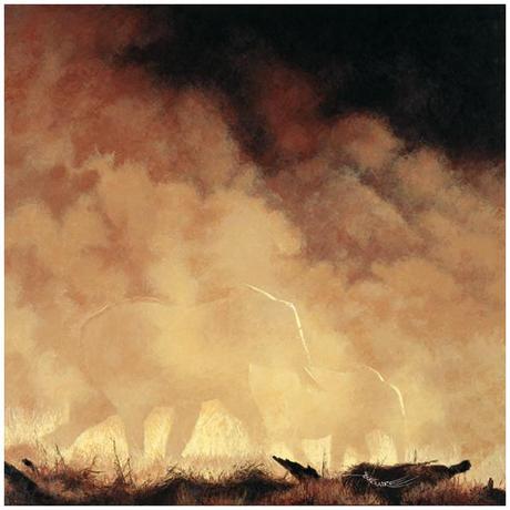 désolé pour la poussière