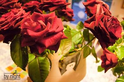 Pas l'ombre d'une princesse