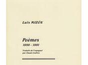 Poèmes, (1986-1991), Luis Mizón (par Jacques Morin)