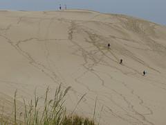 Sand dunes of the Cape Reinga
