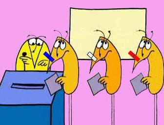 Les primaires socialistes peuvent-elles être truquées ?