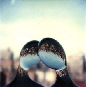 André Kertesz à la Galerie du jeu de Paumes