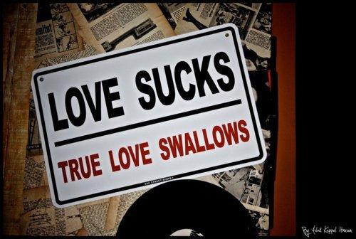 lovesucks-trueloveswallows.jpeg