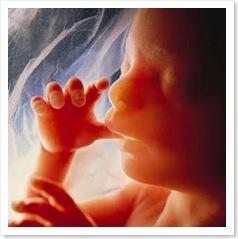 avortement-foetus-droit-d-avorter-loi-choix-pro-vie-pro-choix