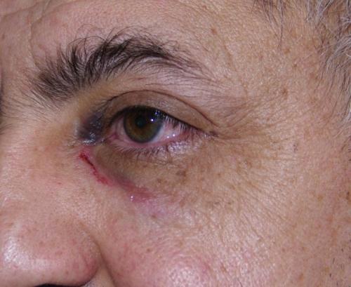 Sans titre 2-ssssss.jpg