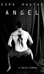 idées de sortie dans le sud Manche (50) pour le WE des 14, 15 et 16 janvier 2011 expo_angel3