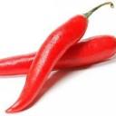 Abonnez-vous à Salsanewz gratuitement