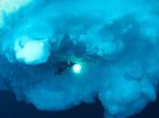 Plongée sous banquise: documentaire soir rater