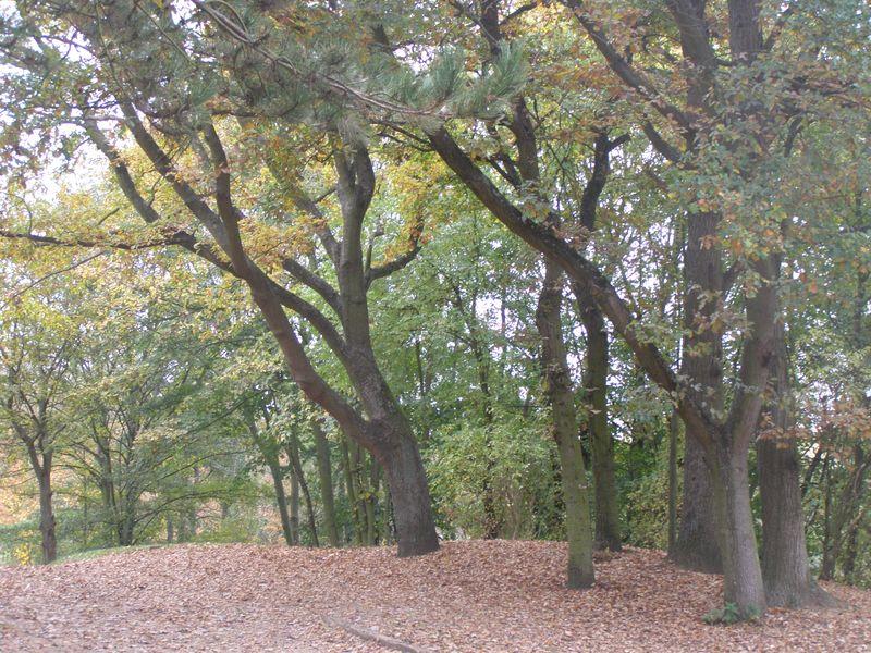 LIBRE (Jean Mambrino)