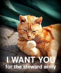 I want YOU for the steward army