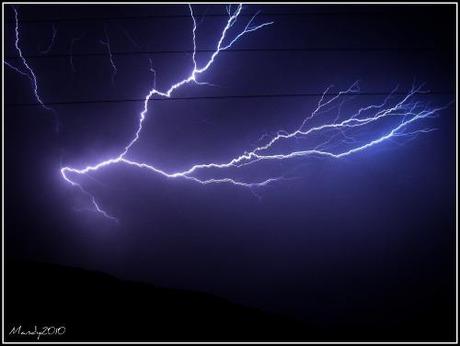 Photo du mois de janvier