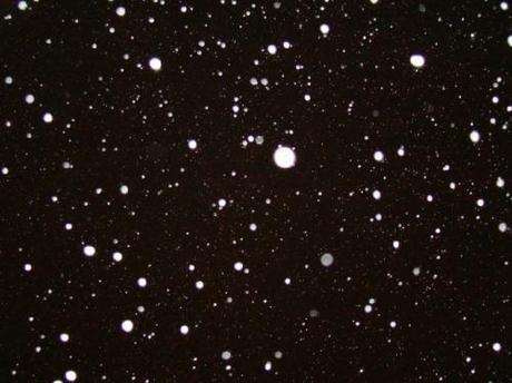 IF La photo du mois #3