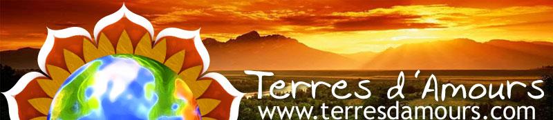 CONFERENCE WEB LE 25 JANVIER