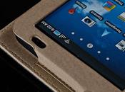 Test étui Ambassador Cuir Luxe BrainWizz