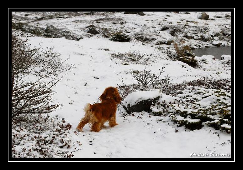 Neige à Saint-Pierre