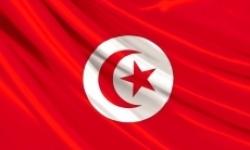 martine-aubry-le-depart-de-ben-ali-doit-permettre-la-transi