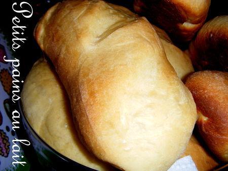 Petits pains au lait DSCF8845