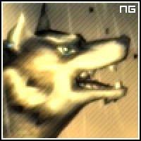 Avatar de Nosfepower