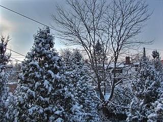 Un dimanche matin sous la neige...