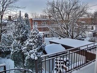 Un dimanche matin sous la neige...