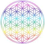 Vente Stickers Fleur de Vie Arc en Ciel Haute Résistance