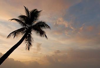 новый хорайзен