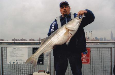 GRAND CONCOURS DE PÊCHE/ FISHING CONTEST