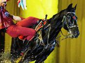 Apassionata rencontre magique l’homme cheval