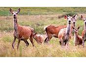 laboratoire l’écriture nouvel avis lectrice L’Organisme (3/3)