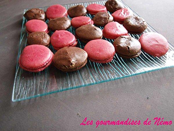 macarons-alsa--4-.JPG