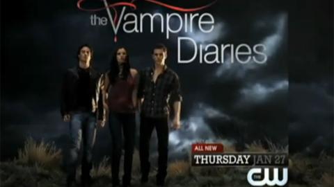 Vampire Diaries saison 2 ... un couple vampire/loup-garou