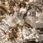 Top albums 2010 : 30ème - 11ème.