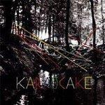 Top albums 2010 : 30ème - 11ème.